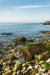 Vertical landscape of rocky beach in sunny day and sea horizon view in Trieste, Italy.