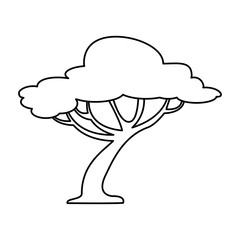 tree forest isolated icon