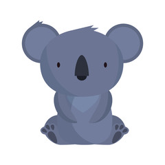 little koala wild character