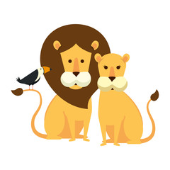 african lions couple with toucan bird