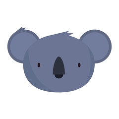 little koala wild character