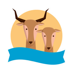 african antelopes couple wild characters