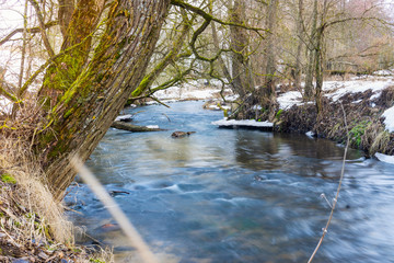 View of the river in the spring in Europe