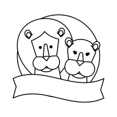 african lions couple characters