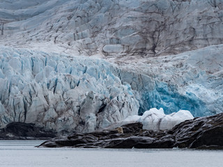 Glacier Nordenskiold in Archipelago of Svalbard in Norway