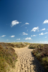 Fototapeta na wymiar Heather trail near Studland beach on Dorset coast