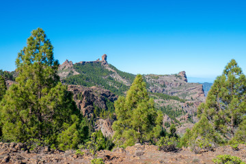 Fototapeta na wymiar Landschaft auf Gran Canaria im Sommer