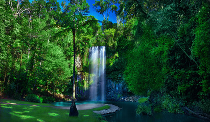 Amazing and beautiful natural waterfall..Millaa Millaa Falls, The Waterfall Circuit , Atherton tableland. Queensland, Australia