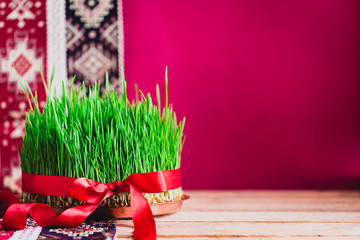 Green fresh semeni sabzi wheat grass on vintage plate decorated with red satin ribbon against dark...