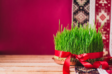 Green fresh semeni sabzi wheat grass on vintage plate decorated with red satin ribbon against dark pink or red background on national style table cloth, Novruz spring celebration in Azerbaijan