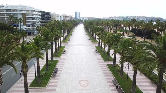 flight over wide empty pedestrian zone with benches between high palm rows parallel to traffic street on city seafront