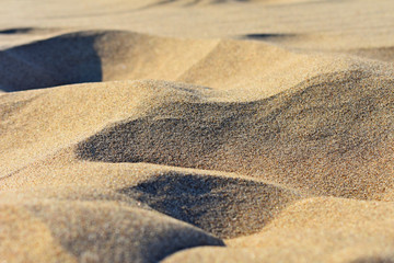 sand hills macro, summer, beach, texture