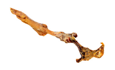 Bone of a Iberian Ham Leg , after it has been eated