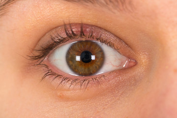 Fototapeta na wymiar Young female's brown eye