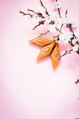 Novruz traditional Azerbaijan pastry shekerbura and pakhlava, beautiful tiny apricot or cherry blossoms for spring equinox celebration on pink background, flat lay top view copy space for text