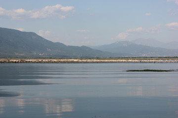 Lake of Kerkini Serres Greece Europe