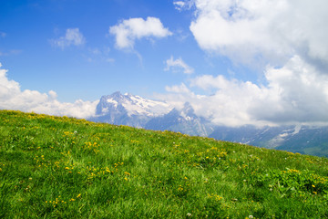 Fototapeta premium Alpine peaks landskape background. Jungfrau, Bernese highland. Alps, tourism, journey, hiking.