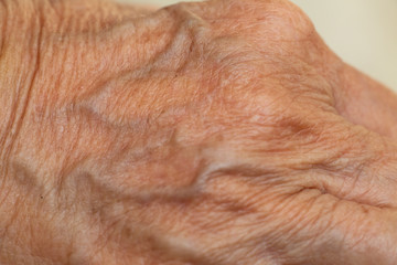 Senior woman's wrinkled skin texture of blood in back of the hand, Close up & Macro shot, Selective focus, Body part, Healthcare concept
