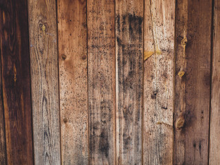Obraz premium old wood board with some mold spots