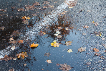 Autumn rain puddles with foliage on a car parking.