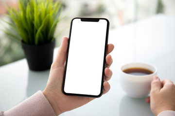 female hands holding phone with isolated screen in summer cafe