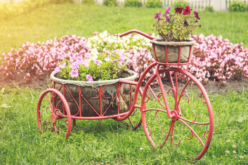 Fototapeta na wymiar Garden decoration with flowers in the form of a retro bicycle