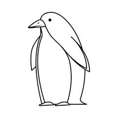 Obraz premium cute penguin bird character