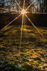 Wiese mit Schneeresten in der Abendsonne