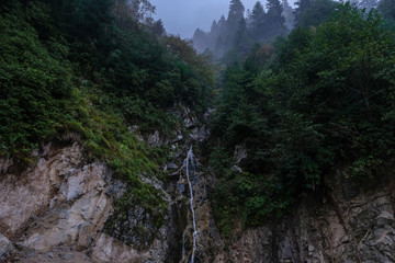 Waterfall in the middle of the forest