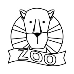 african lioness wild animal