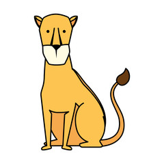 african lioness wild animal