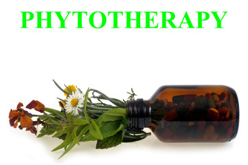 Phytotherapy