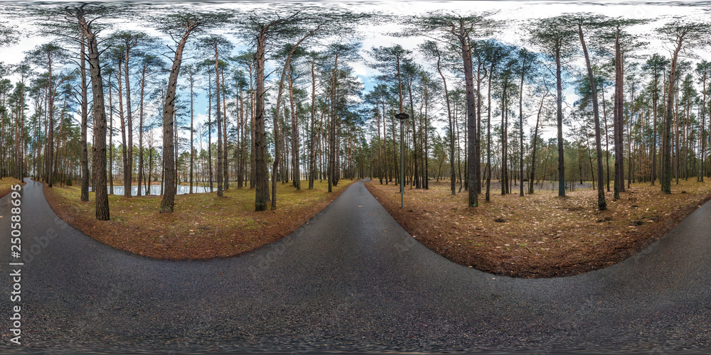 Wall mural full spherical hdri panorama 360 degrees angle view on asphalt pedestrian footpath and bicycle lane 