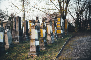 Side view of multiple vandalised graves with nazi symbols in yellow spray-painted on the damaged...