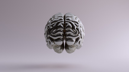 Silver Anatomical Brain Back 3d illustration 3d render