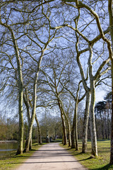 Park around Rambouillet castle