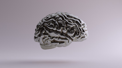 Silver Anatomical Brain Right