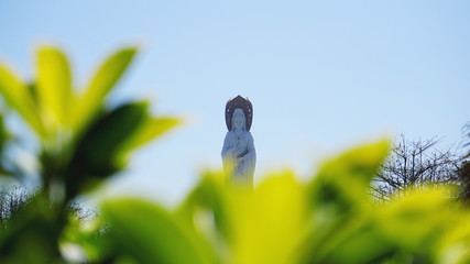 Buddhist Park, open space on the island of Sanya. Centre of culture and religion