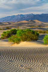 Mesquite Flat Sand Dunes, Death Valley National Park, California, USA, America