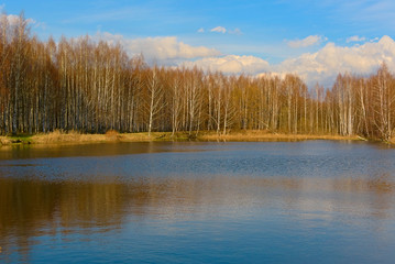 Forest on the lake in early spring. Kostroma, Russia.