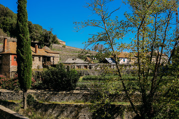 Fototapete bei efototapeten.de bestellen   