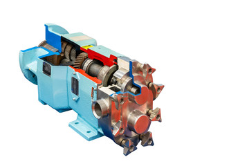 Close up cross section of High technology and quality rotary or lobe gear vacuum pump with gear box for industrial isolated on white background with clipping path