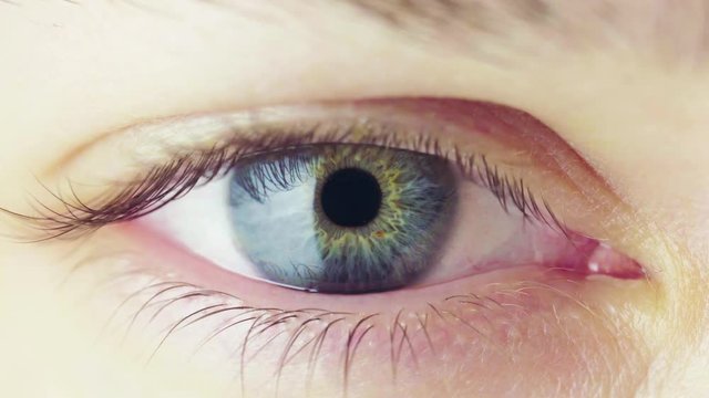 Beautiful Blue Eye of Young Woman Opening Up And Closing. Pupil Constriction Process. Looped Video.