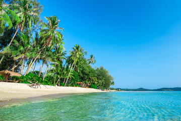 Summer nature scene. Tropical beach with sea, blue sky and palm trees, Kood island is located in the South East part of Thailand. Beautiful sea and white sand beach. 