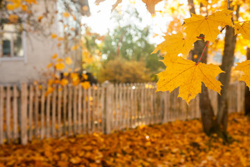 Beautiful colorful autumn scene with white old fence and fall colors in Finland.