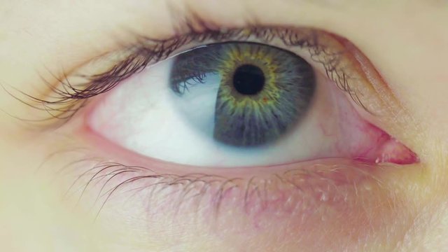 The Smooth Movement of the Eyeball Watching the Moving Object. Eye Tracking the Object. Smooth Pursuit Eye Movement. Examination by an Ophthalmologist Concept. Looped Video