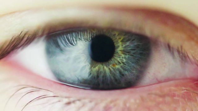Blinking Blue Female Eye. Macro View of Pupil Constriction Process in Human Eye. Constriction of the Iris with Bright Light. Eye reaction to light. Slow Motion