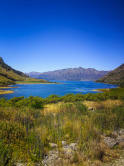 Deans Bank Track in Wanaka