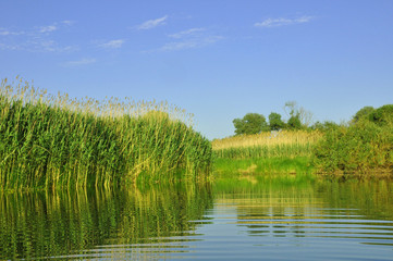Obraz premium Travel and rest. Typical swampy landscape of Belarusian marshes.