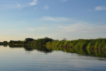 Obraz premium Travel and rest. Typical swampy landscape of Belarusian marshes.